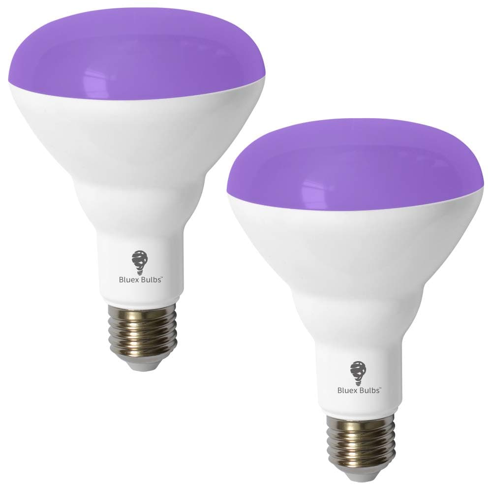Glow Smart Bulb (2-pack)